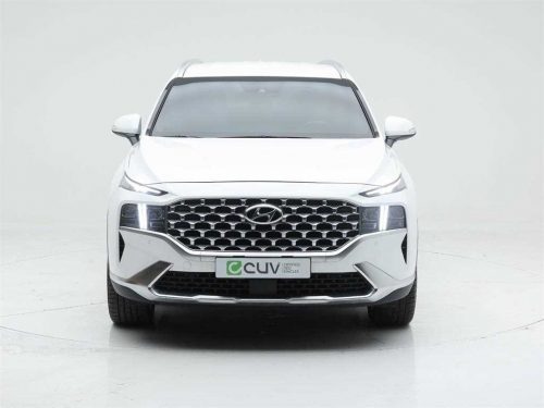 현대 더 뉴 싼타페 디젤 2.2 4WD 프레스티지 사진 2