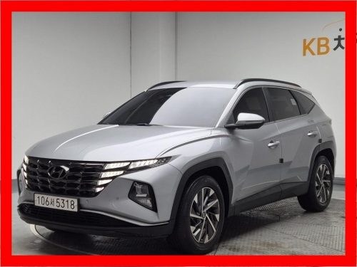 Hyundai Tucson (NX4) Diesel 2.0 4WD Premium