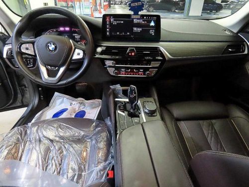 BMW 5시리즈 (G30) 530i xDrive 럭셔리 사진 10