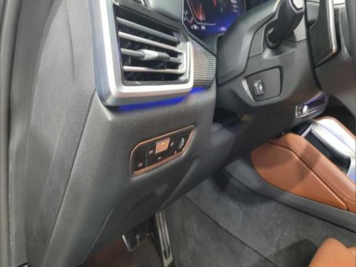 BMW X6 (G06) xDrive 40i M 스포츠 사진 11