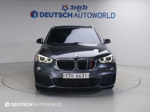 BMW X1 (F48) xDrive 20d M 스포츠 사진 3
