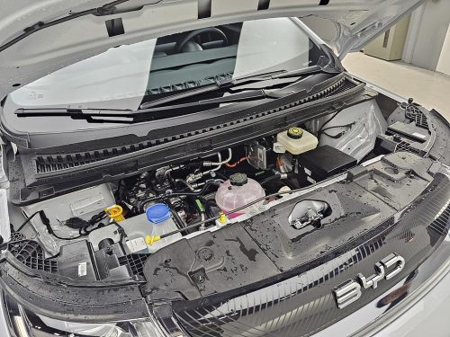 BYD 사진 6