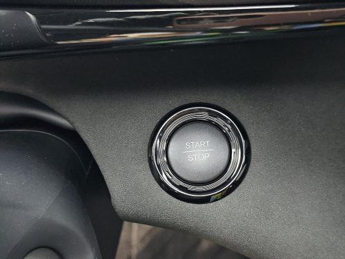 BYD 사진 12