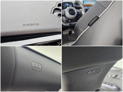 BYD 사진 15