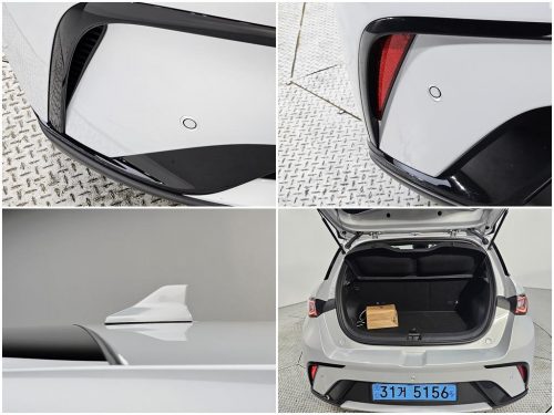 BYD 사진 17