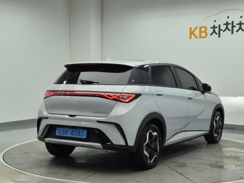 BYD 사진 3