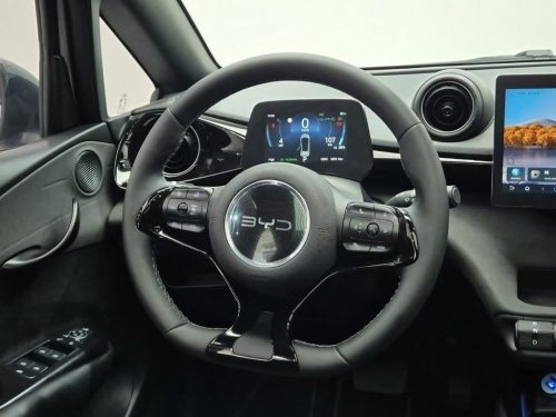 BYD 사진 8