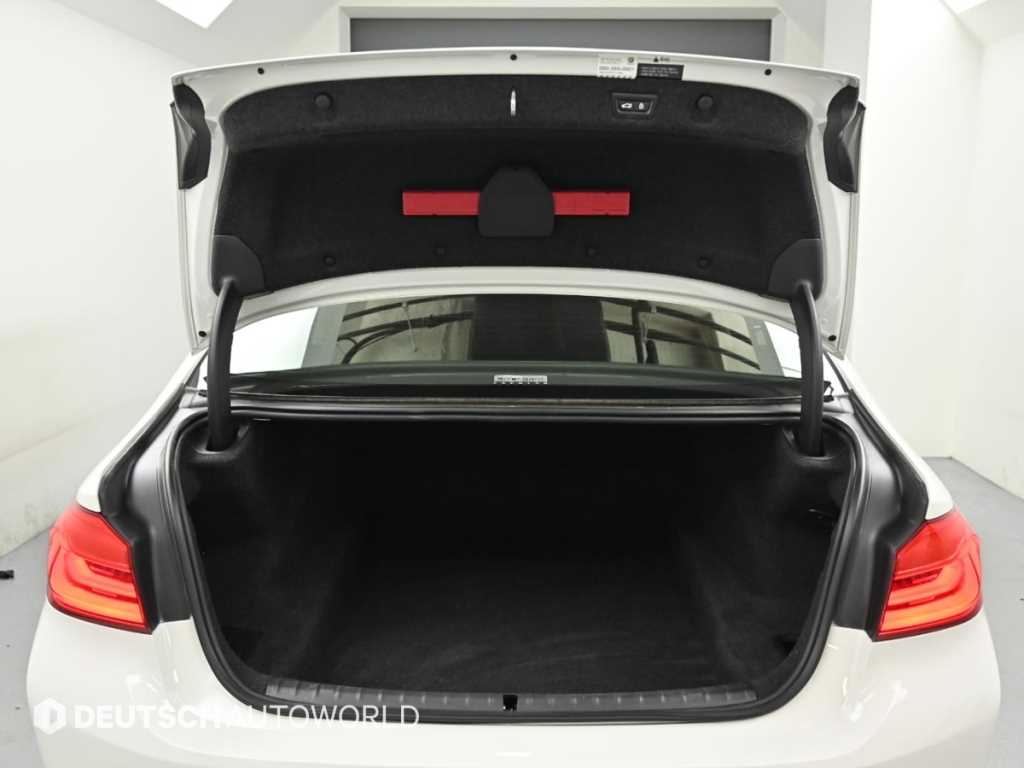BMW 5시리즈 (G30) 520i 럭셔리 사진 19