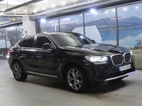 BMW X4 (G02) xDrive 20i xLine