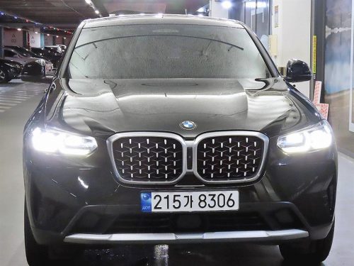 BMW X4 (G02) xDrive 20i xLine 사진 2