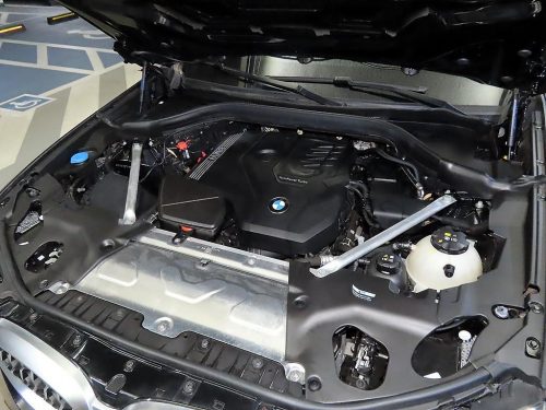 BMW X4 (G02) xDrive 20i xLine 사진 19