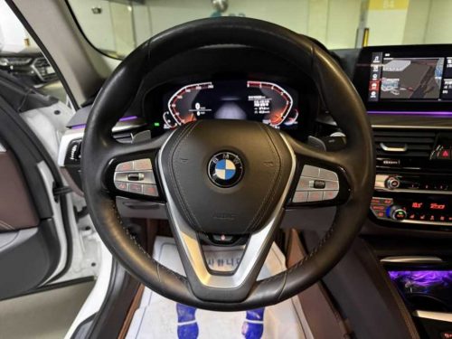 BMW 5시리즈 (G30) 520d xDrive 럭셔리 플러스 사진 11