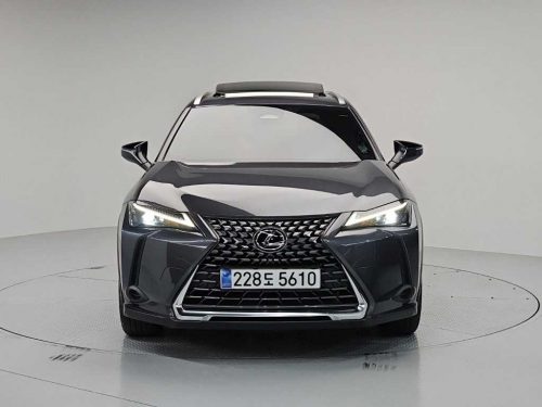 렉서스 UX 300h 2.0 사진 2