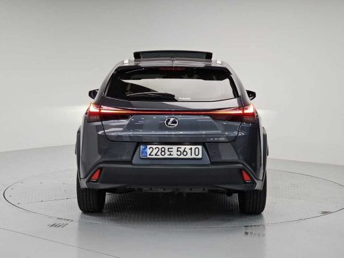 렉서스 UX 300h 2.0 사진 3