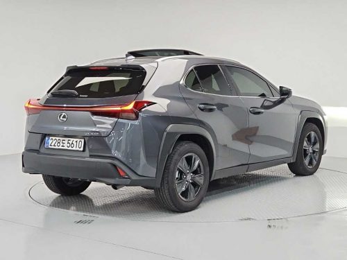 렉서스 UX 300h 2.0 사진 4