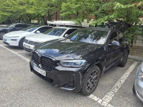 BMW X4 (G02) xDrive 20i M 스포츠 프로