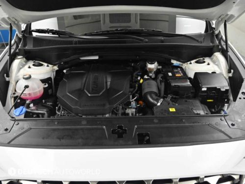 현대 더 뉴 싼타페 디젤 2.2 2WD 익스클루시브 사진 6