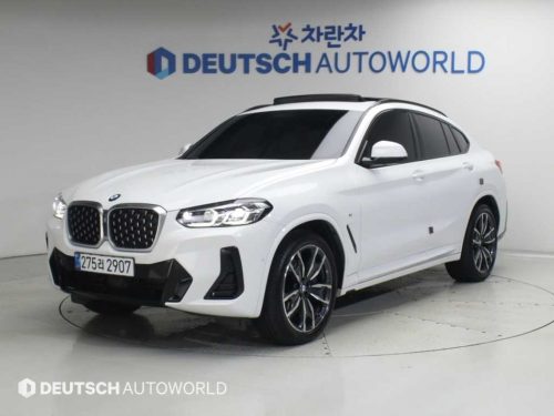 BMW X4 (G02) xDrive 20d M 스포츠