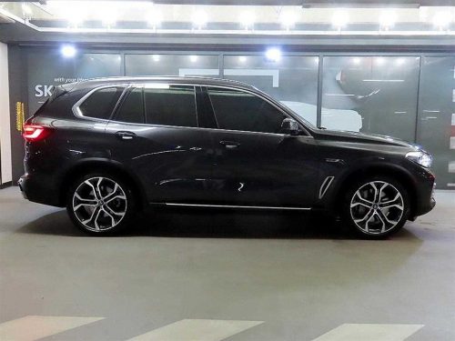 BMW X5 (G05) xDrive 45e xLine 사진 3