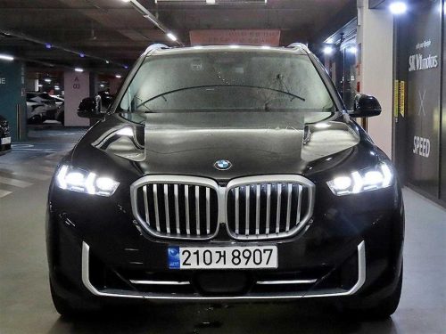 BMW X5 (G05) xDrive 30d xLine 사진 2
