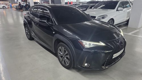 렉서스 UX 250h 2.0 F 스포츠 2WD 사진 3