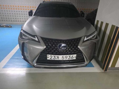 렉서스 UX 250h 2.0 2WD