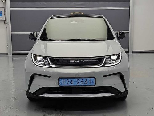 BYD 사진 2