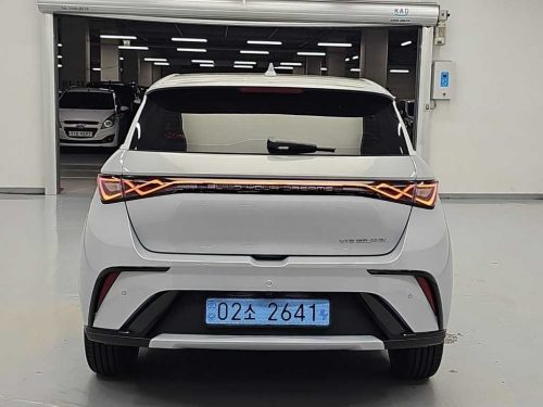 BYD 사진 3