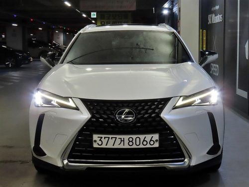 렉서스 UX 250h 2.0 2WD 사진 2