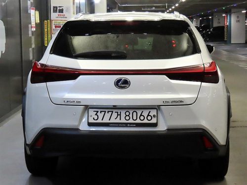 렉서스 UX 250h 2.0 2WD 사진 5