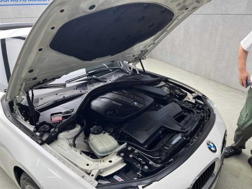 BMW 3시리즈 (F30) 320d 사진 19