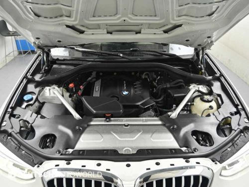 BMW X4 (G02) xDrive 20d xLine 사진 6