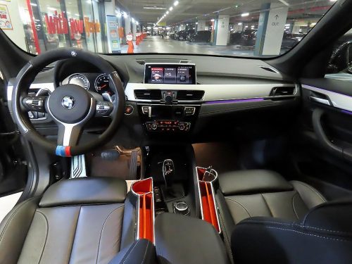 BMW X1 (F48) xDrive 20i M 스포츠 사진 10