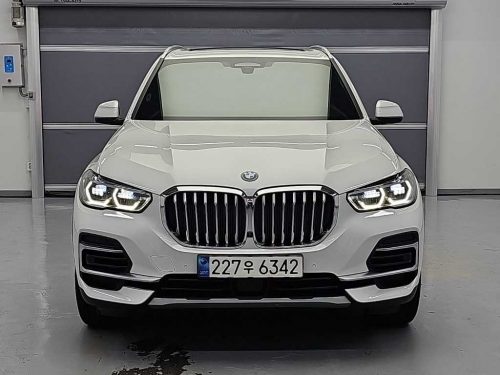 BMW X5 (G05) xDrive 45e xLine 사진 2