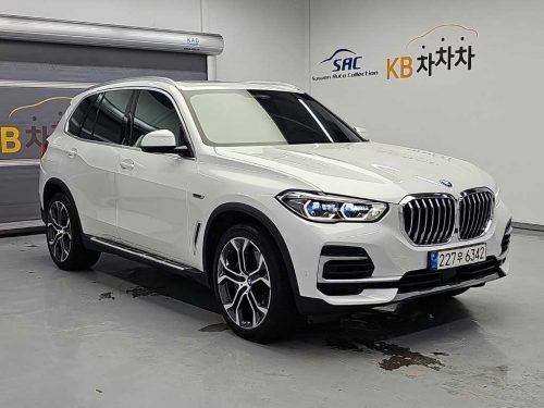 BMW X5 (G05) xDrive 45e xLine 사진 4
