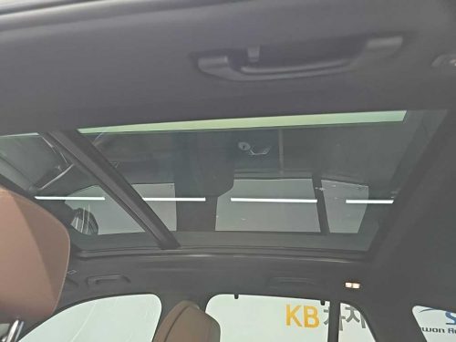 BMW X5 (G05) xDrive 45e xLine 사진 13