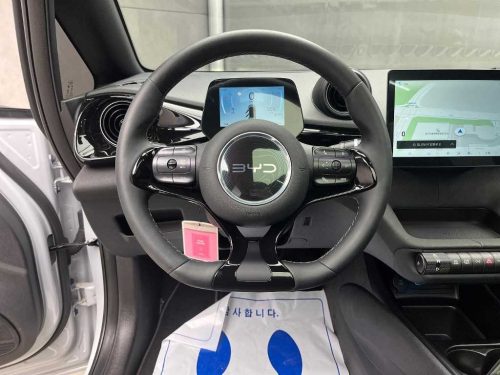 BYD 사진 9