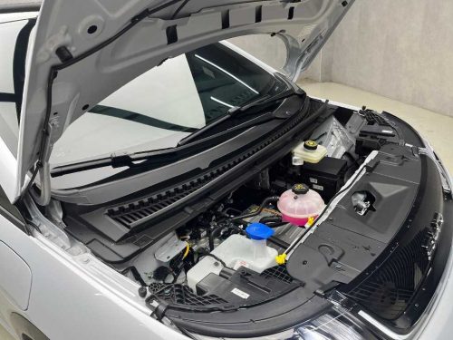 BYD 사진 17