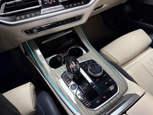 BMW X7 (G07) xDrive 30d 디자인 퓨어 엑셀런스 6인승 사진 14