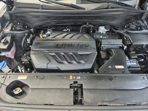 Hyundai The New Palisade Diesel 2.2 2WD Prestige photo 5