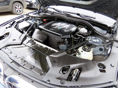BMW 5시리즈 (G30) 520d xDrive M 스포츠 플러스 사진 19