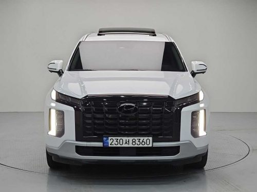 현대 더 뉴 팰리세이드 디젤 2.2 2WD 사진 2