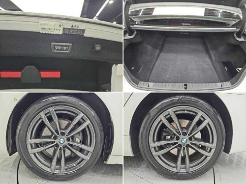 BMW 7시리즈 (G11) 740d xDrive M 스포츠 사진 19