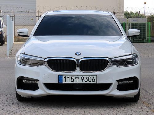 BMW 5시리즈 (G30) 520d M 스포츠 플러스