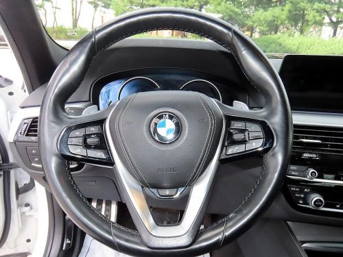 BMW 5시리즈 (G30) 520d M 스포츠 플러스 사진 8