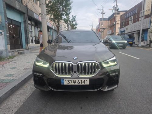 BMW X6 (G06) xDrive 30d M 스포츠