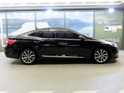 현대 그랜저 HG HG220 PREMIUM 사진 3