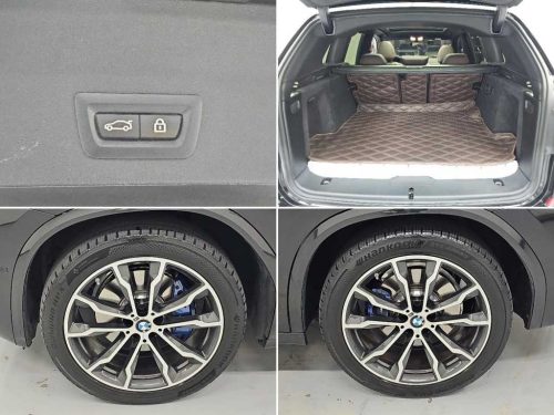 BMW X3 (G01) xDrive 30e M 스포츠 사진 19