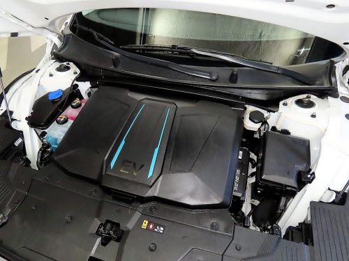 Hyundai Ioniq 5 Standard Commercial photo 19