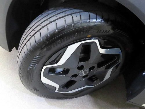 BYD 사진 20